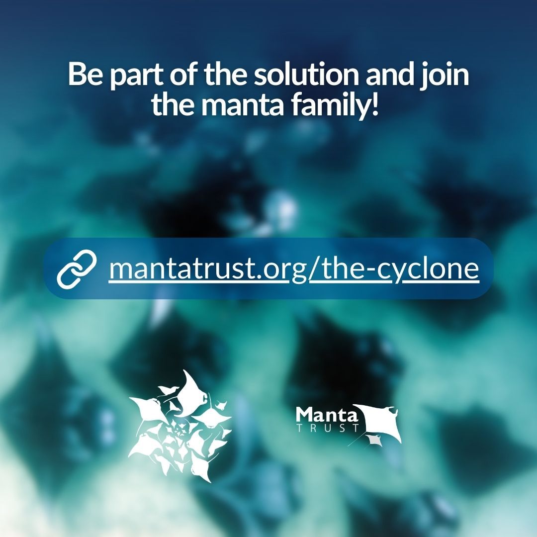 MantaTrust's tweet photo. 🌀 Join the Cyclone, our members-only platform, which gives you access to regular updates from the field!
📲 Find out more about the Cyclone, benefits for members, and sign up by heading to the link in our bio!
📷 Guy Stevens
#MantaTrust #MantaTrustCyclone #TheCyclone https://t.co/FxC9nTc15l