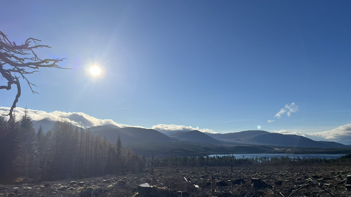 tinaj68's tweet photo. @MetMattTaylor @BBCBreakfast Had lovely sunshine today at Glenmore 😊 https://t.co/weFGIcc3kS