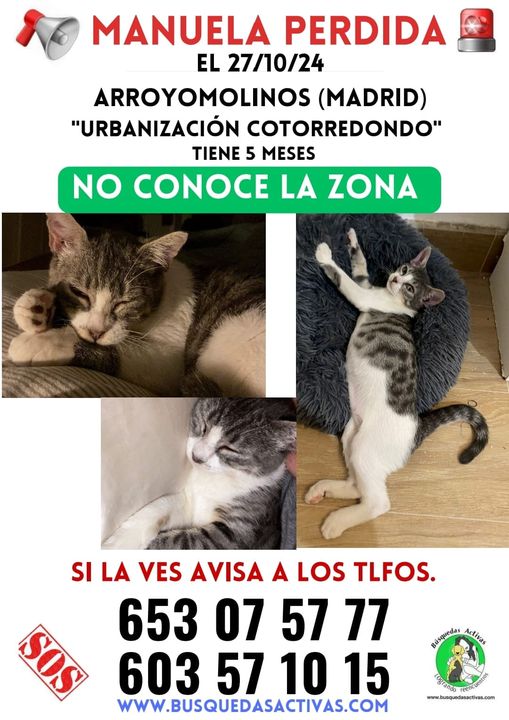 isabel esteve (@isagato62) on Twitter photo 