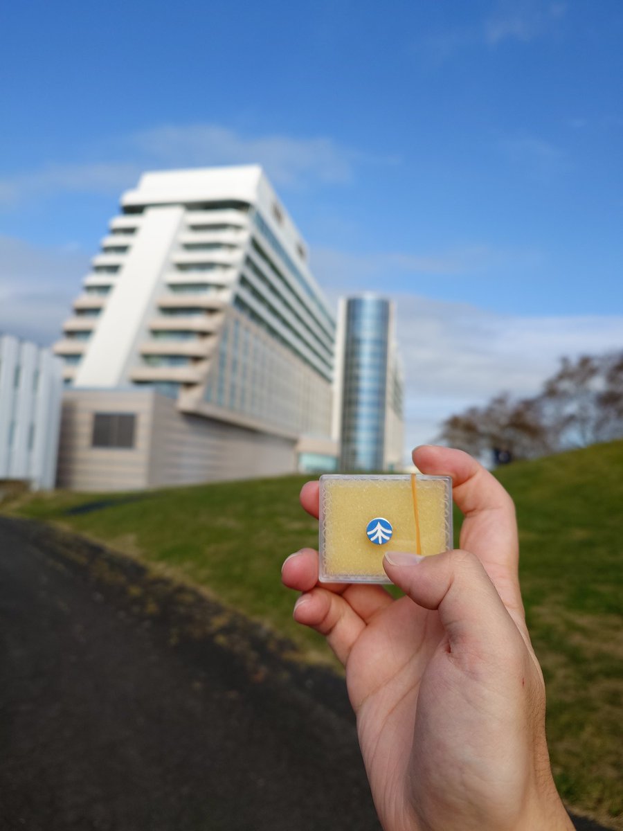 たくぎんダイナマイト公式 C107（水）西け47b (@takugindynamite