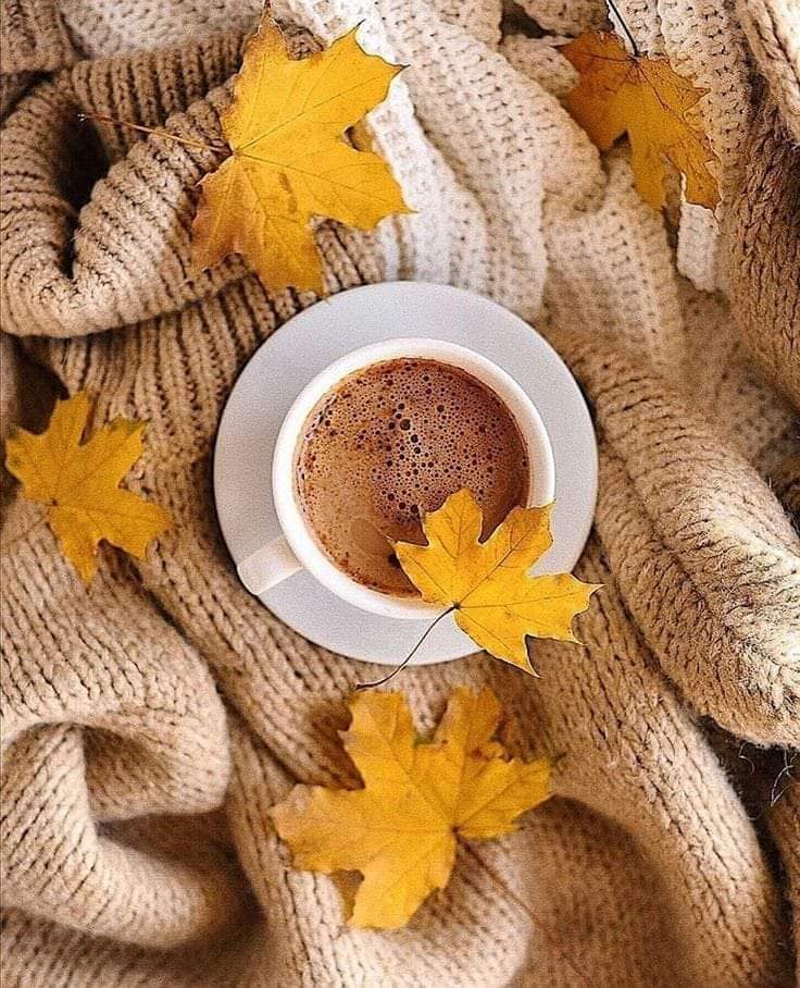 HelenSol1824713's tweet photo. Bon vendredi à tous 🌞🍂☕️💛
Caffè.... caffè.... https://t.co/YnQsXW0dVB