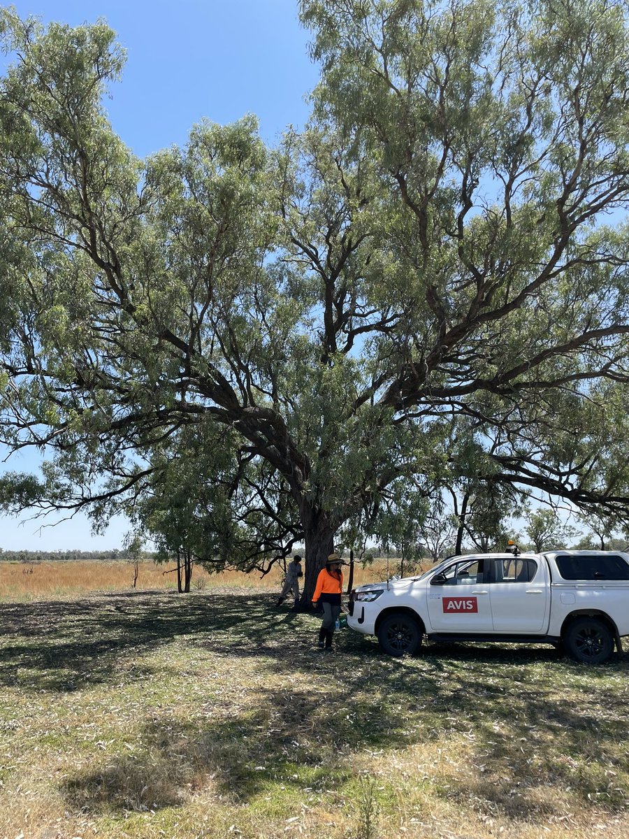 Danielle Verdon-Kidd tweet media