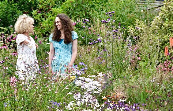 Sue Kent (@suekentathome) on Twitter photo In the summer for BBC Gardeners World I visited Caroline Crocker in Devon to see her innovative garden design, indulging a love of plants in a creative and unconventional garden, tonight 8.00pm BBC2 Gardeners World <a href="/GWandShows/">BBC Gardeners World</a> #gardenersworld #gardendesign In the summer for BBC Gardeners World I visited Caroline Crocker in Devon to see her innovative garden design, indulging a love of plants in a creative and unconventional garden, tonight 8.00pm BBC2 Gardeners World <a href="/GWandShows/">BBC Gardeners World</a> #gardenersworld #gardendesign