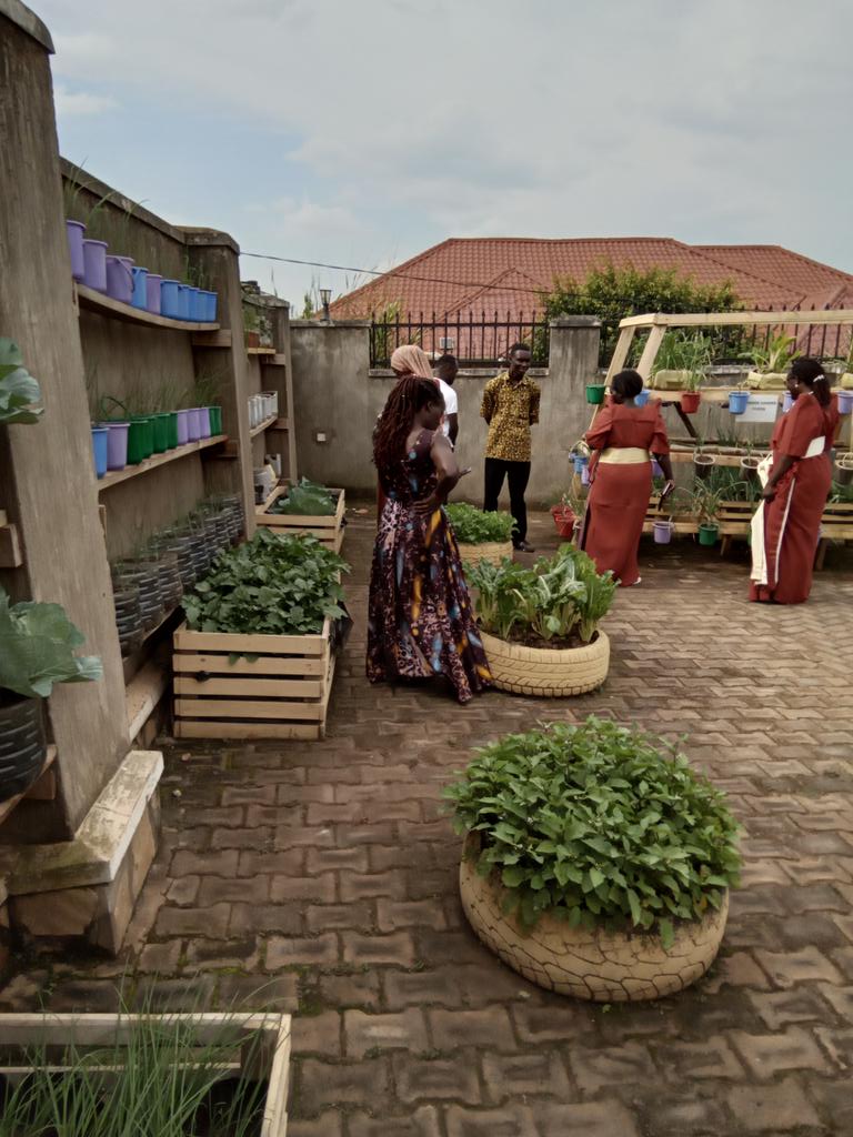 kab_consult's tweet photo. Empowering women! The heart of our urban farming initiative. @BarbaraZawedde @BugandaOfficial @UrbanFarmingGuy @UrbanFarmingFam @urbanfarming https://t.co/nJ32GRHg2i