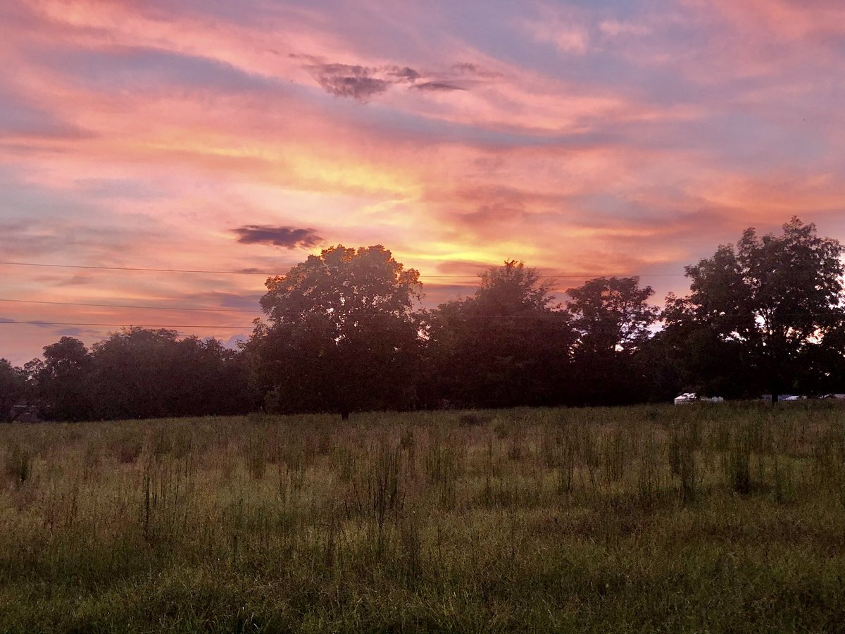 Beautiful Georgia sunset on the farm ❤️
So glad to be back in my beautiful home state #sunsets #georgia #FarmLife