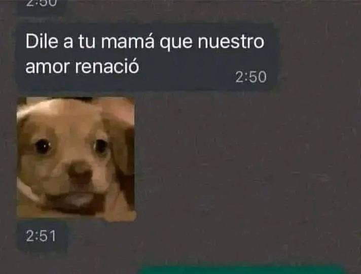 Mi ex y yo después de regresar: