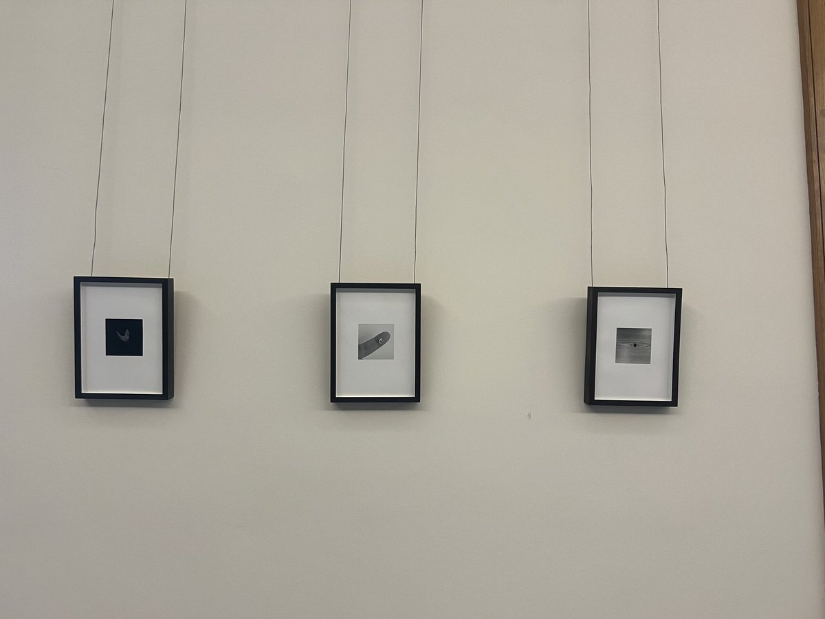 Listen to and meet artist Sophy Rickett in conversation <a href="/WolfsonCam/">Wolfson College</a> this evening discussing her beautiful exhibition On Being One. Some spaces are still available - reserve your free place here! forms.office.com/e/fTbrsYxnDX