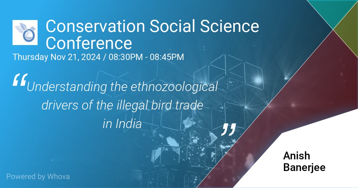 Anish Banerjee (@anishwildlife) on Twitter photo I will be presenting my research on bird hunting in India at the Conservation Social Science Conference hosted by <a href="/Society4ConBio/">SCB</a> and <a href="/SCB_SSWG/">SCB Social Science Working Group</a>.
<a href="/MCRSociety/">Monitor Conservation Research Society</a> <a href="/IndiAves/">IndiAves</a> I will be presenting my research on bird hunting in India at the Conservation Social Science Conference hosted by <a href="/Society4ConBio/">SCB</a> and <a href="/SCB_SSWG/">SCB Social Science Working Group</a>.
<a href="/MCRSociety/">Monitor Conservation Research Society</a> <a href="/IndiAves/">IndiAves</a>