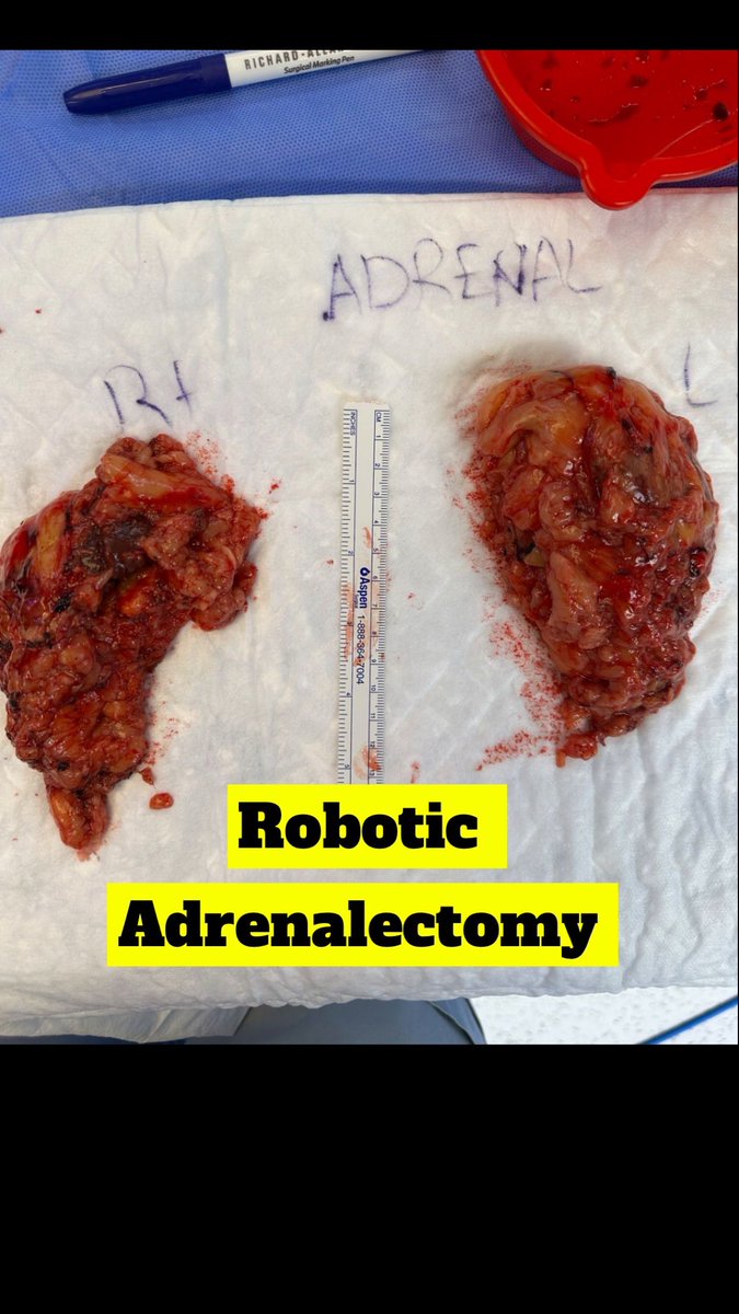 Ahmed I Nazer احمد ناظر tweet media