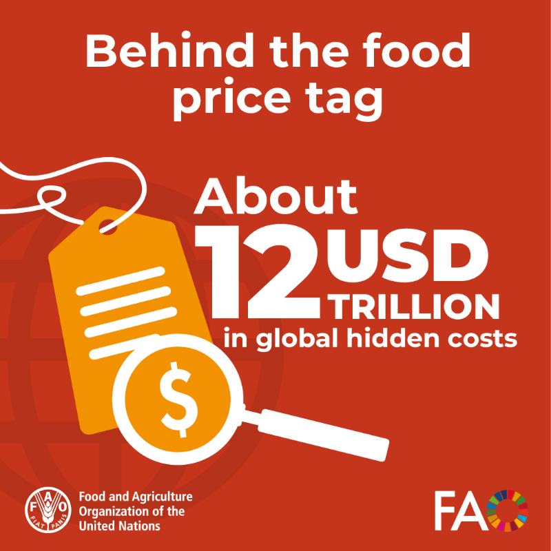 FAO's tweet photo. The journey of food to our tables generates costs that are not reflected in market prices.

@FAO's #SOFA2024 report estimates that global agrifood systems generate about USD 12 trillion of environmental, social &amp; health hidden costs.

#TrueCostOfFood #TrueCostAccounting