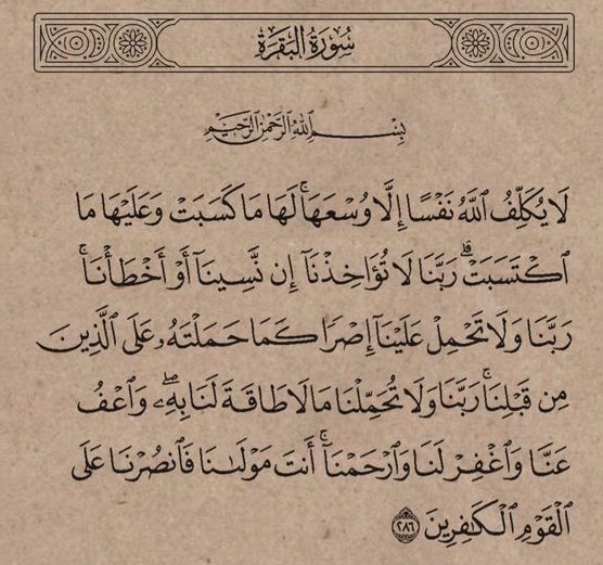 فاطِمة tweet media