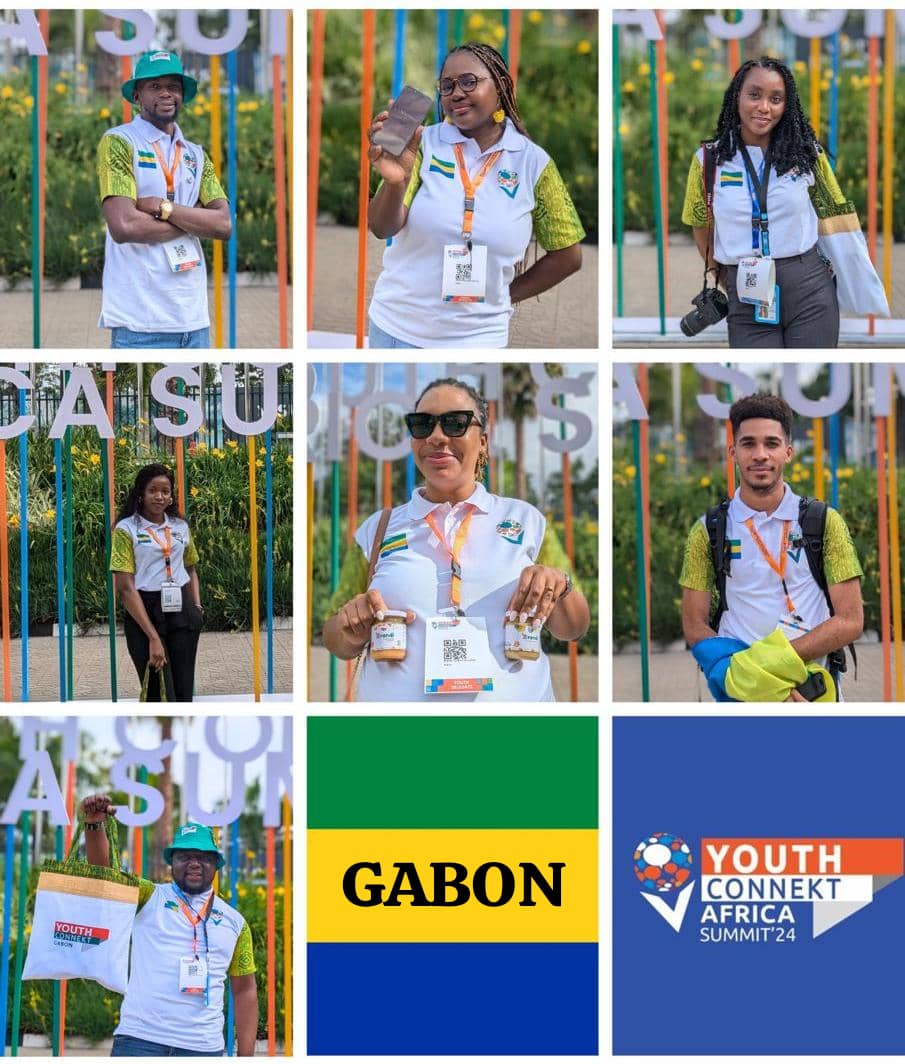 PNUD GABON tweet media