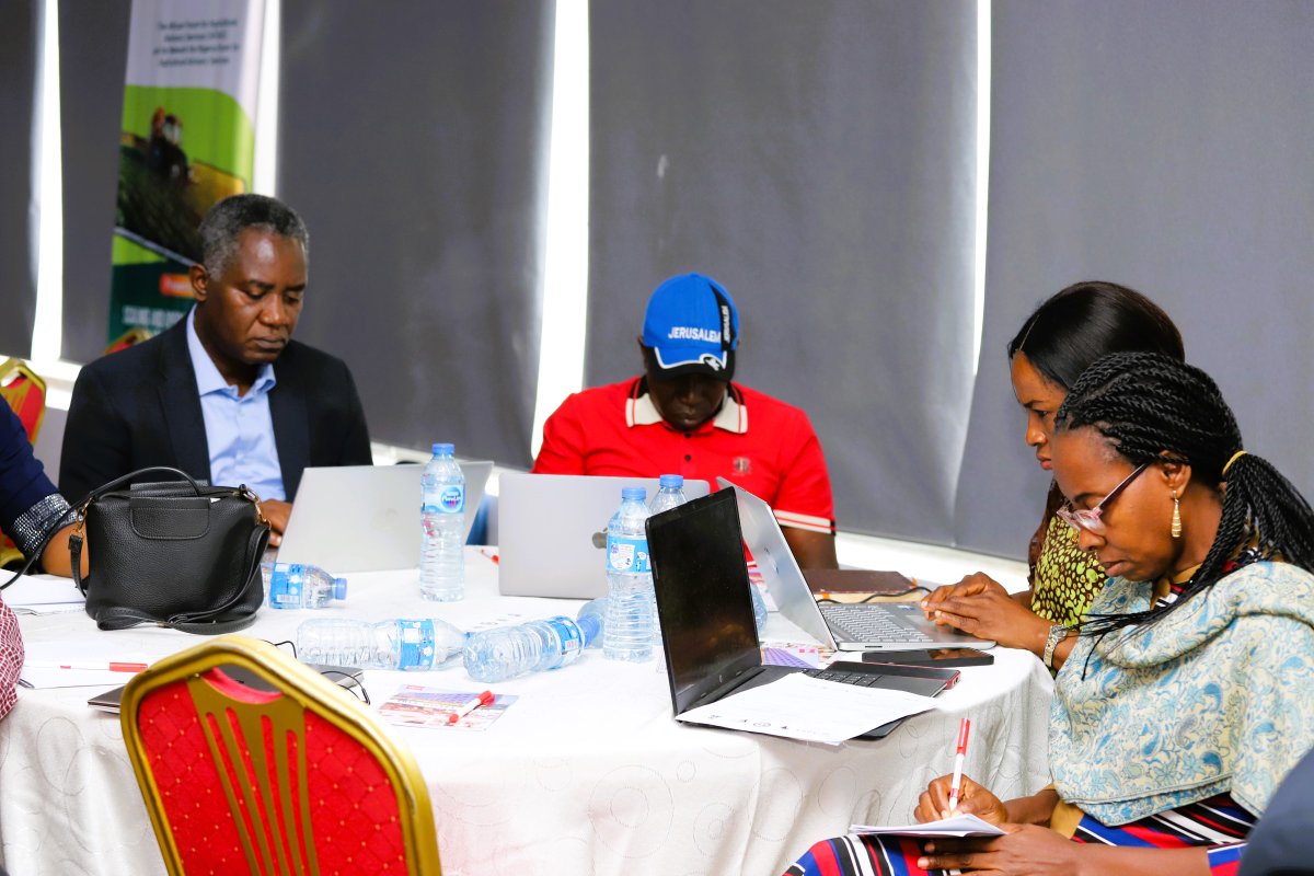 Sasakawa Nigeria tweet media