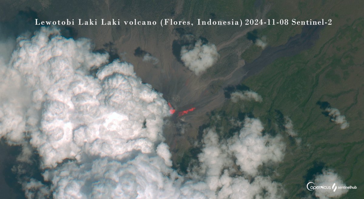 Martin Kelko (@mkelko) on Twitter photo Tall lava fountains, major eruption sent ash up to 55,000 ft from #Lewotobi today! 🇮🇩
🌋<a href="/volcanodiscover/">VolcanoDiscovery</a> activity update:
👉lnkd.in/eiDW3brD
<a href="/esa/">European Space Agency</a> <a href="/ESA_EO/">ESA Earth Observation</a> <a href="/CopernicusEU/">Copernicus EU</a> <a href="/sentinel_hub/">Sentinel Hub</a> <a href="/planet/">Planet</a> <a href="/Pierre_Markuse/">Pierre Markuse</a> <a href="/SmithsonianGVP/">Global Volcanism Program</a> <a href="/infomitigasi/">INFOMITIGASI</a> Tall lava fountains, major eruption sent ash up to 55,000 ft from #Lewotobi today! 🇮🇩
🌋<a href="/volcanodiscover/">VolcanoDiscovery</a> activity update:
👉lnkd.in/eiDW3brD
<a href="/esa/">European Space Agency</a> <a href="/ESA_EO/">ESA Earth Observation</a> <a href="/CopernicusEU/">Copernicus EU</a> <a href="/sentinel_hub/">Sentinel Hub</a> <a href="/planet/">Planet</a> <a href="/Pierre_Markuse/">Pierre Markuse</a> <a href="/SmithsonianGVP/">Global Volcanism Program</a> <a href="/infomitigasi/">INFOMITIGASI</a>
