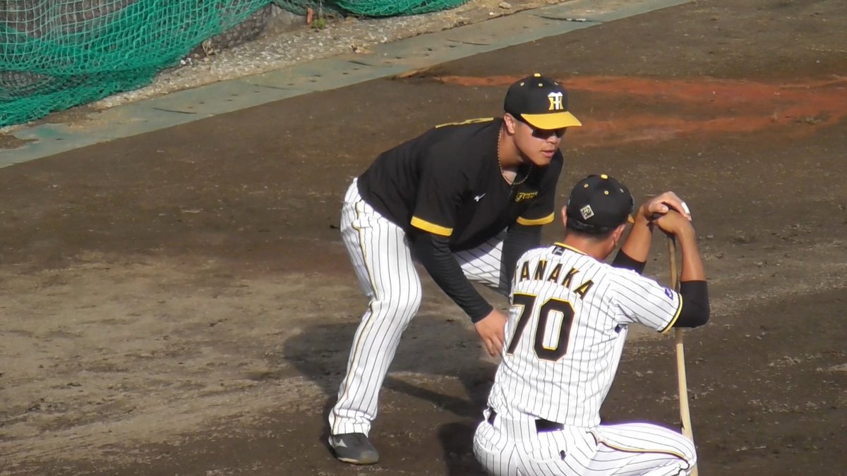 pro_baseballch's tweet photo. 【送球解禁】佐藤輝明、二日連続の特守で一塁への送球練習も！ノック後ジャンケン対決に負けてスクワット40回の罰ゲーム【阪神秋季キャンプ】 https://t.co/k2fPV3fXAS @YouTubeより

#佐藤輝明 
#サトテル
#戸井零士 
#阪神タイガース
#tigers
#hanshin https://t.co/n6qvMKgFy6