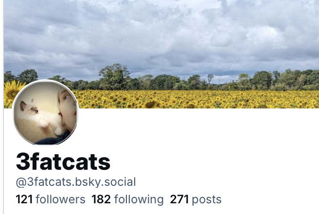 3fatcats's tweet photo. Xitter is finally imploding. I think this platform will end soon. Meet me on BlueSky. Elmo's shithole won't be missed. https://t.co/pHstW43DyN