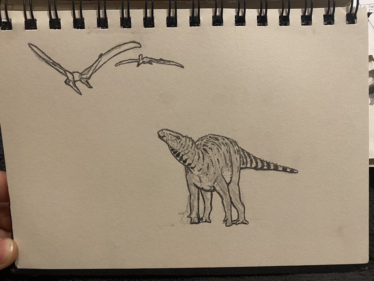 HarryBridger3's tweet photo. I found something cool in my field notebook, I completely forgot it was in there. https://t.co/eoeRQsordS