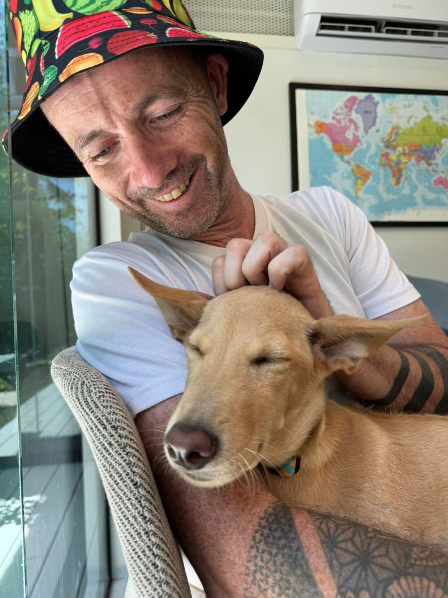 Niall Harbison tweet media