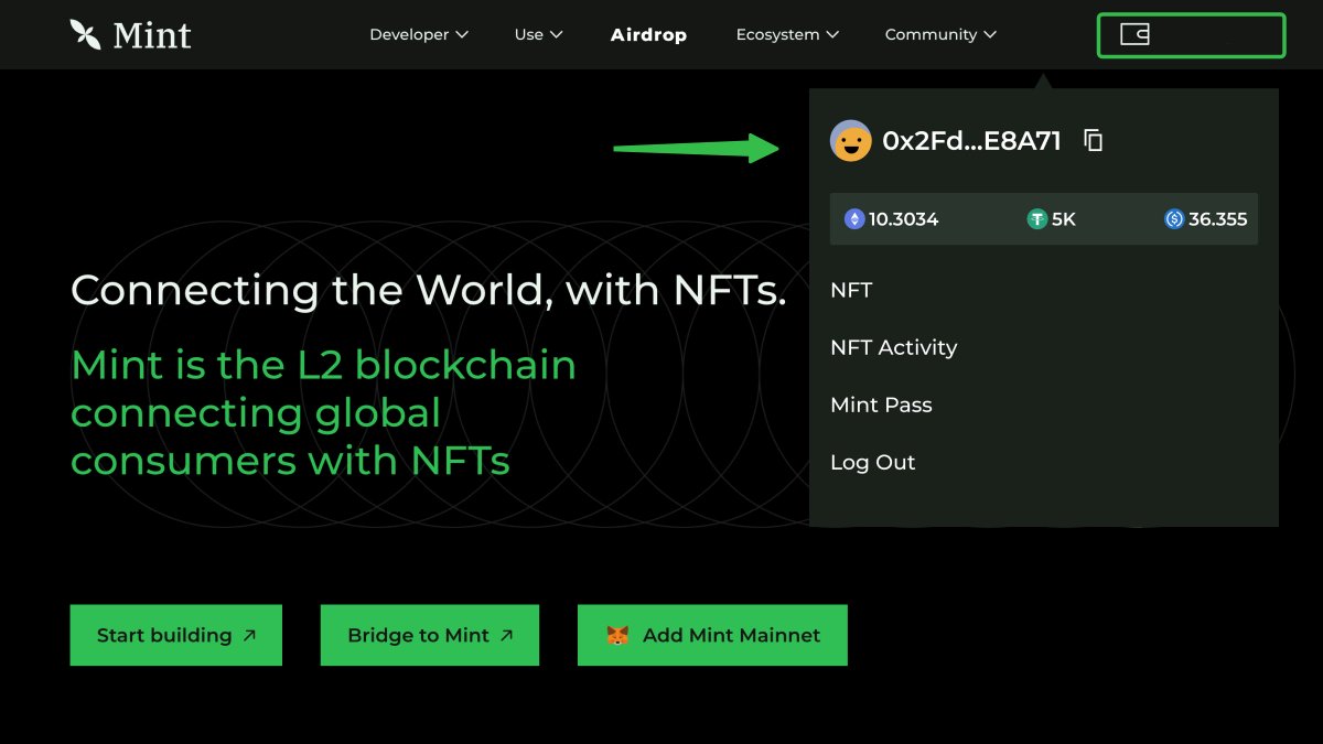 User experience is everything 

The Mint website now supports a personalized Asset Dashboard for your wallet on Mint, allowing you to view Mint Blockchain token &amp; NFT assets, make transfers, trade, and even transfer with your .mint DID. #OnMint 

🍀➡️ Go check out your dashboard
