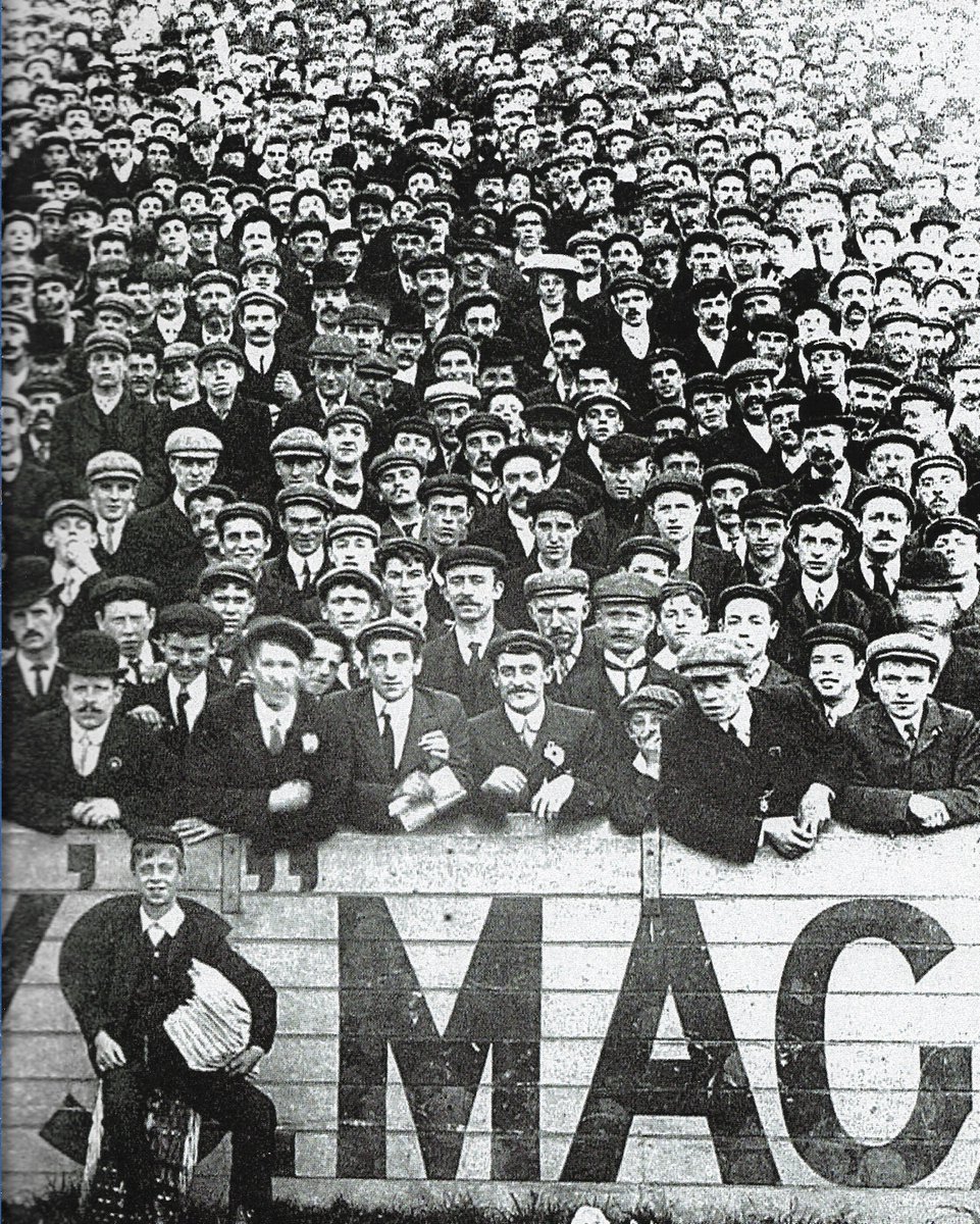 Stephen Bignell tweet media