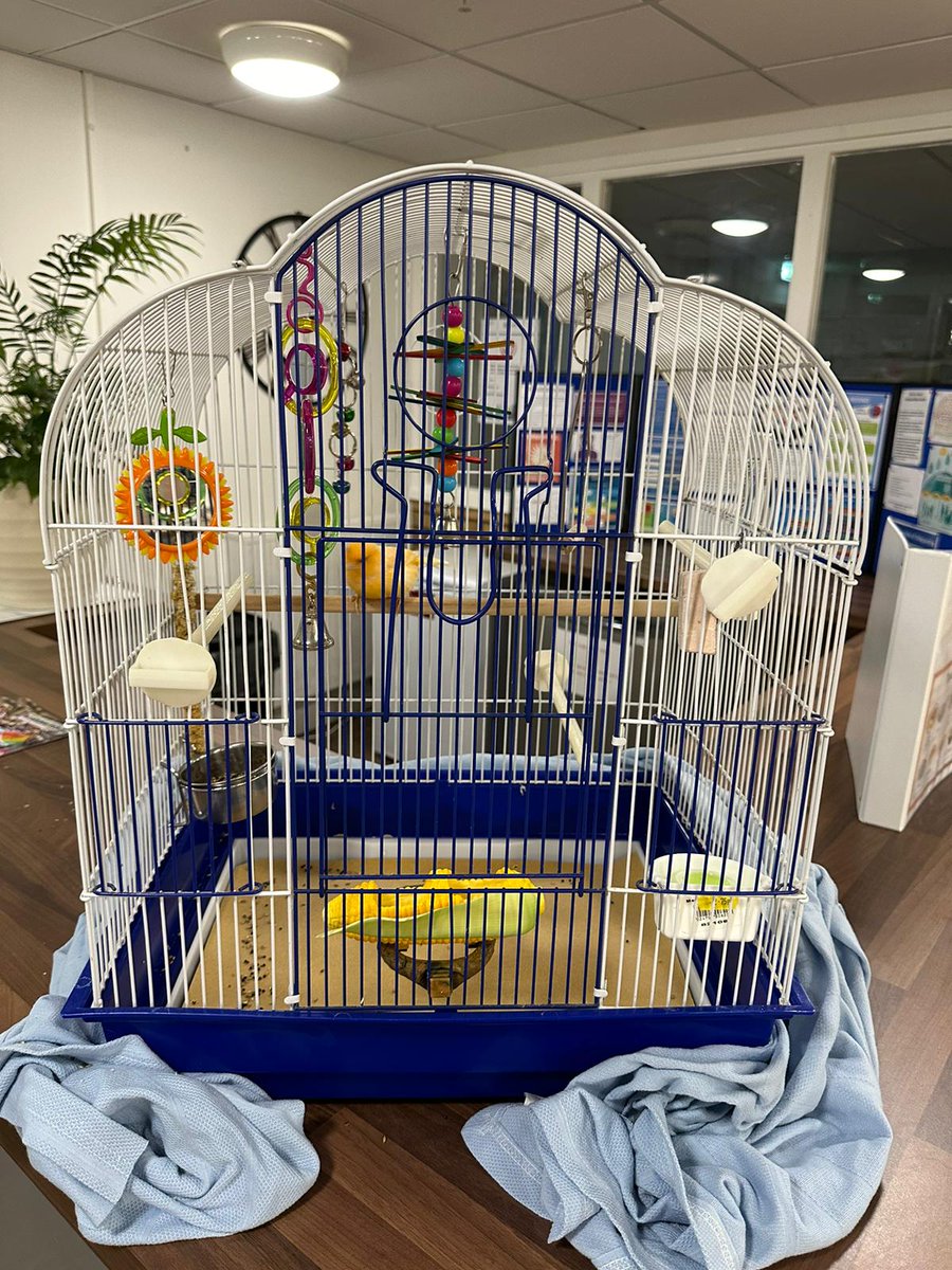 Leeds Recovery Service tweet media