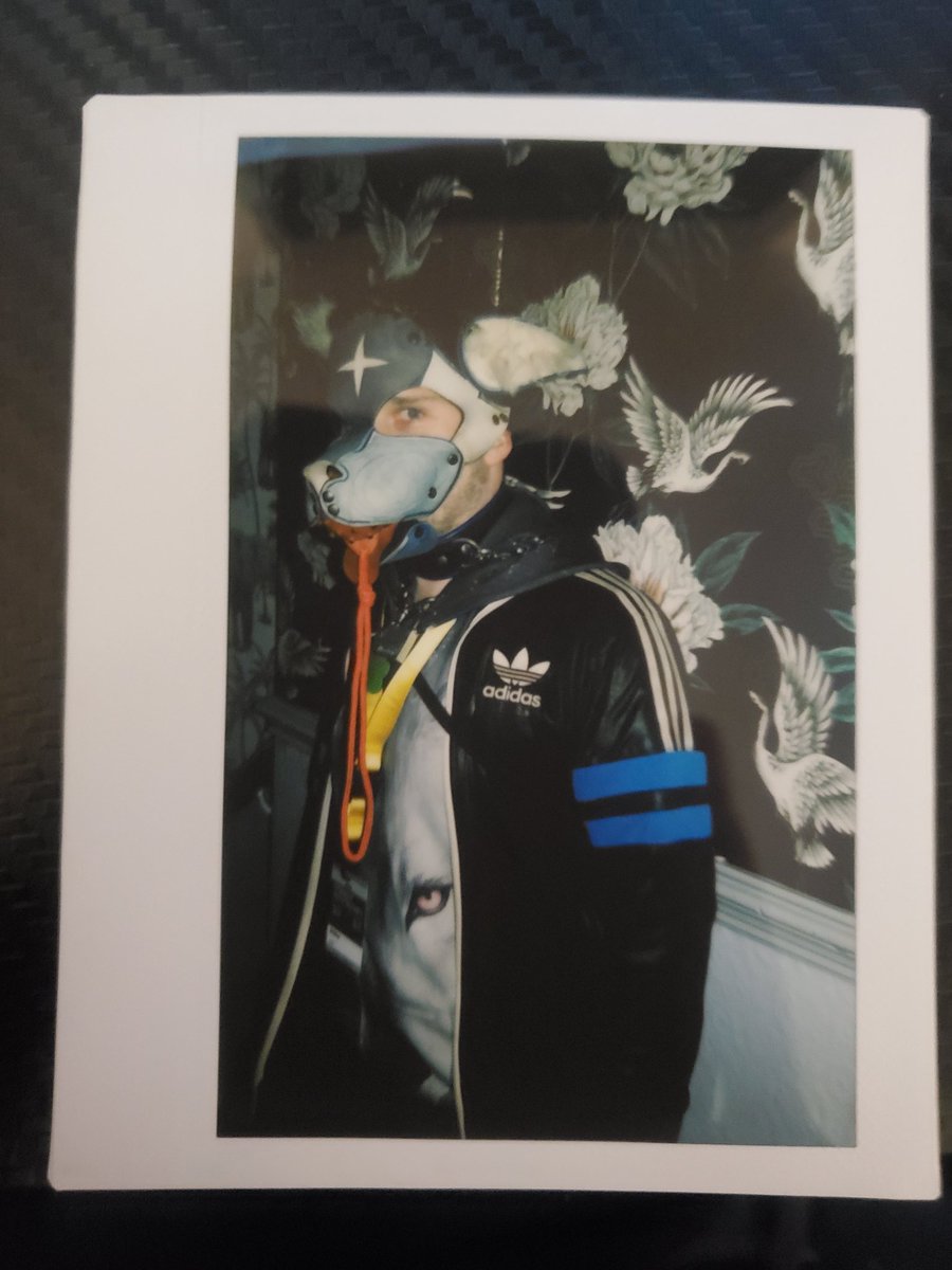 PupShifter's tweet photo. Awesome time at Doggy Weekend, Polaroid pookture courtesy of @NeonButCaged 💙🐾

Am totally innocent boye, definitely didn't commit an crime 👀 https://t.co/lMEW7eEkq5