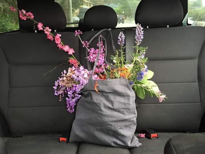 😇جمعہ مبارک 😇

💝اللہ تعالیٰ اپ کو پھولوں کی طرح مسکراتا رکھے 💝
🥰آمین ثم آمین یا رب العالمین🫀🙌🏻

*🕊️⃝🌸𓆩