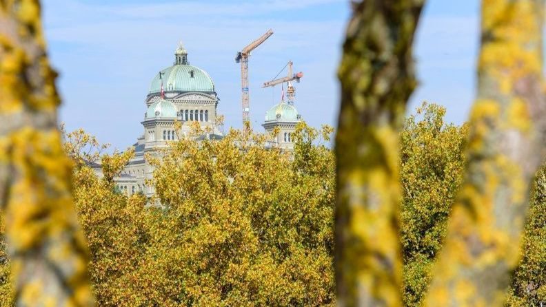Die Vox-Analyse zeigt: 75 % der Schweizer Bevölkerung sind besorgt über die Zerstörung der Natur. Jetzt sind wirksame #Biodiversitätsmassnahmen gefragt! 
@birdlife_ch @pronatura_ch #Umweltschutz #Nachhaltigkeit 
Mehr Infos: biodiversitaetsinitiative.ch/news/Nachwahlb…