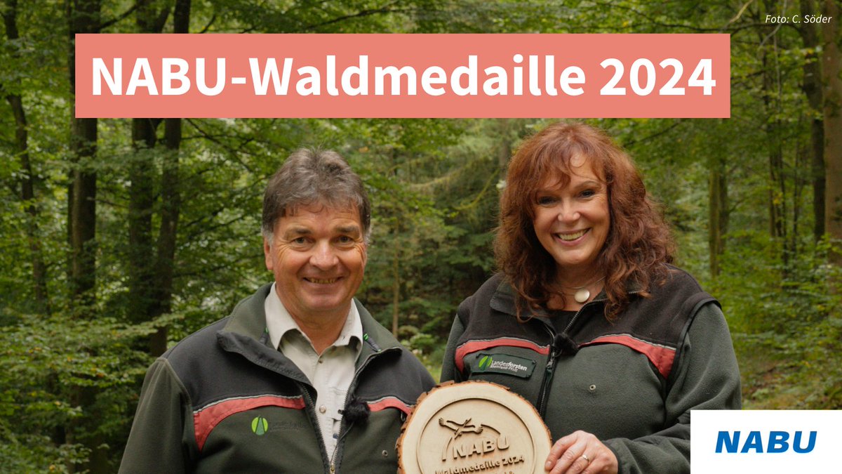 🌳 Konsequentes Arbeiten mit der Natur in der Waldbewirtschaftung &amp; lebenslanges Lernen. Für diese   Schwerpunkte erhalten Amtsleiterin Monika Runkel und Bildungsrevierleiter Andreas Schäfer vom Forstamt Hachenburg (Rheinland-Pfalz) die NABU-Waldmedaille: nabu.de/news/2024/10/w…