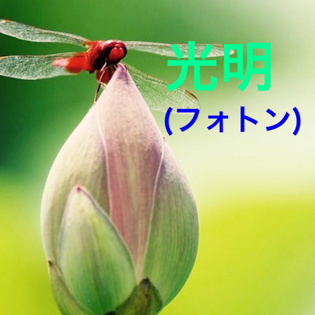 【光明(フォトン)】
新時代の周波数〜C＝528HZ🎹松果体・ソマチッド活性化音源

youtu.be/4mPuaVBxtPI?si…