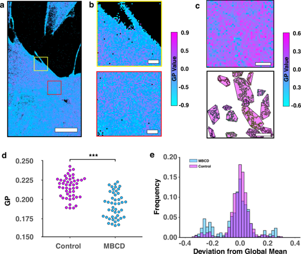 Luca Panconi tweet media