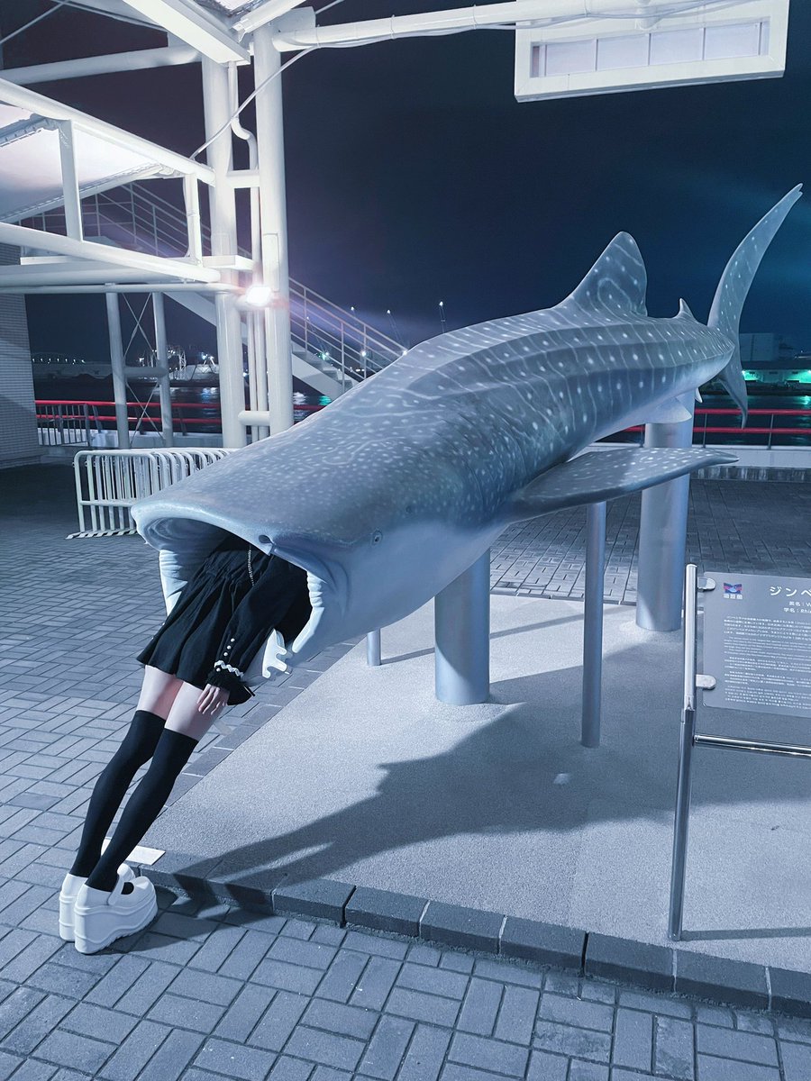 ぼく含め全員ジンベイザメに喰われるぼくとかみて落ち着いて欲しいほまに