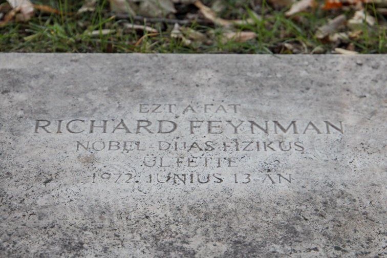 Quintin Garrido #CIENCIA,y... tweet media