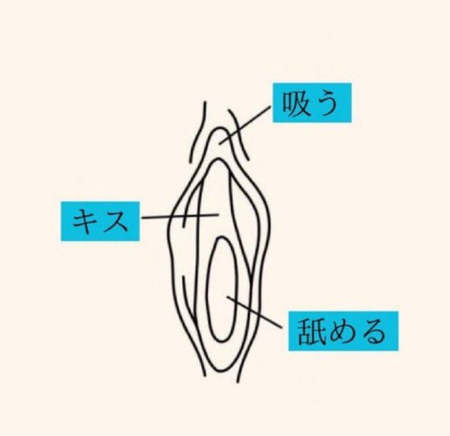 女性を簡単に絶頂させるならコレ。
⚠️保存推奨 https://t.co/wHvAQrScrQ