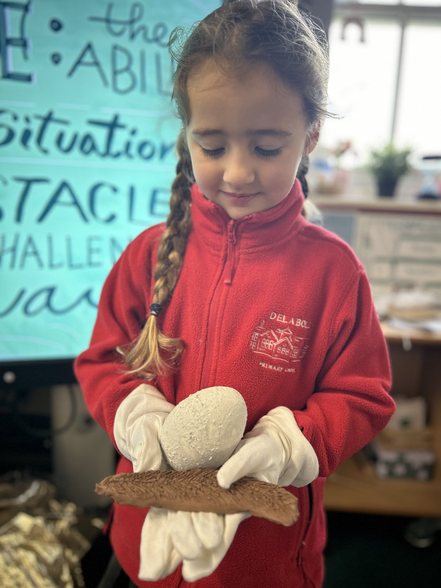 delabole_school's tweet photo. We received a special delivery from the Natural History Museum. We set to work as Historians to try &amp; discover what these fossils belonged to, we recorded our findings and shared this with Natural History Museum. We are looking forward to what we will discoverer. https://t.co/r5J3dqjYLg