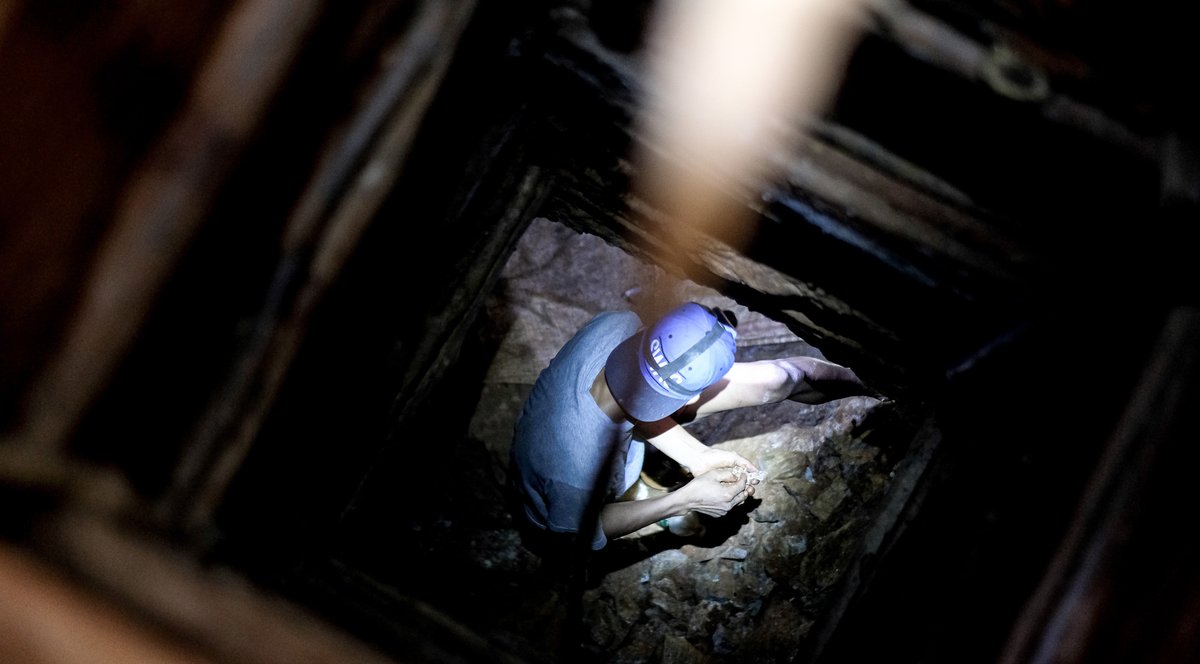 UN Environment Programme in Africa tweet media