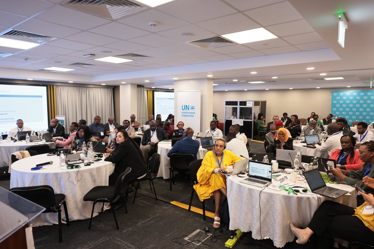 UN Environment Programme in Africa tweet media