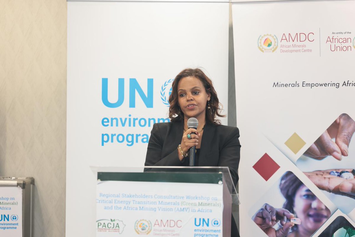 UN Environment Programme in Africa tweet media