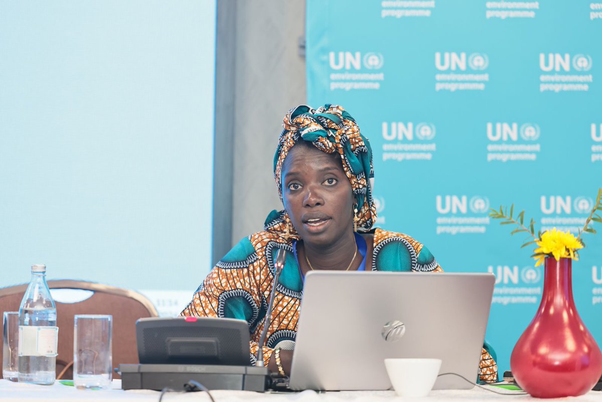 UN Environment Programme in Africa tweet media