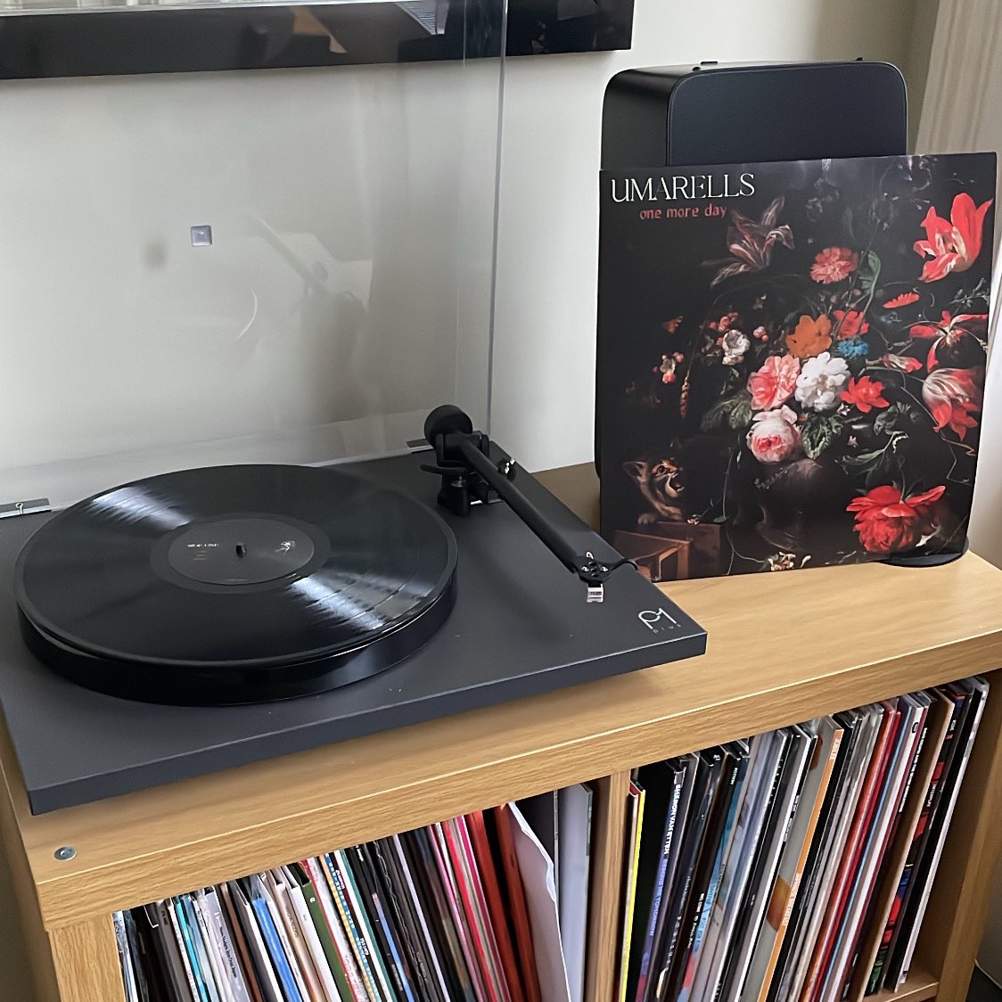 Debut EP from <a href="/umarellsband/">umarells</a> is out today! Full of glistening indie pop. Stream it now or buy it on limited edition 12” from your favourite indie: lnk.to/one-more-day