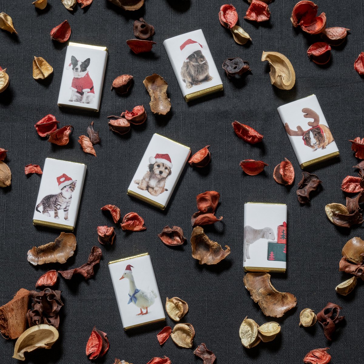 Our adorable Christmas Animals Slims are the perfect little stocking filler this Christmas. Each milk chocolate slim is wrapped in a picture of a cute animal decked out in festive attire. 

Shop online at houseofdorchester.com.
