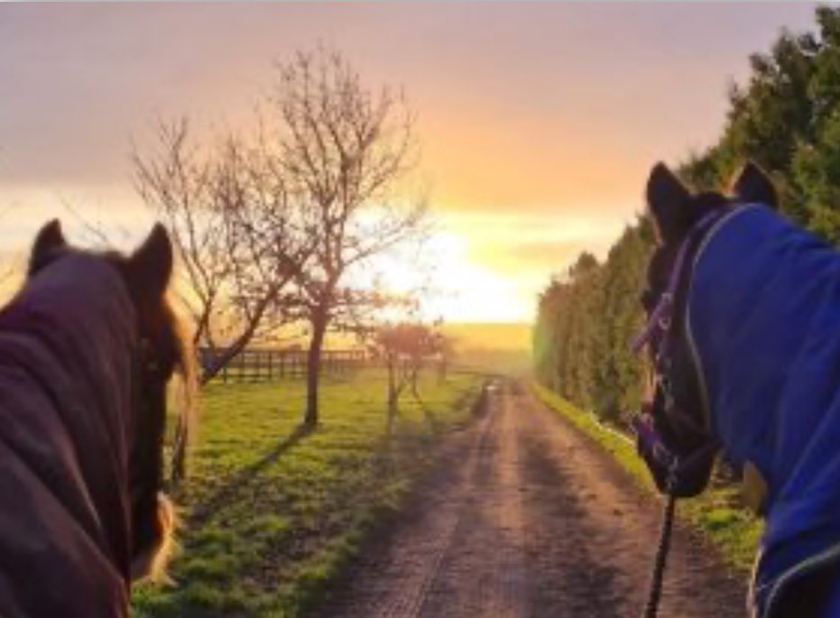 Angus Tourism Cooperative tweet media