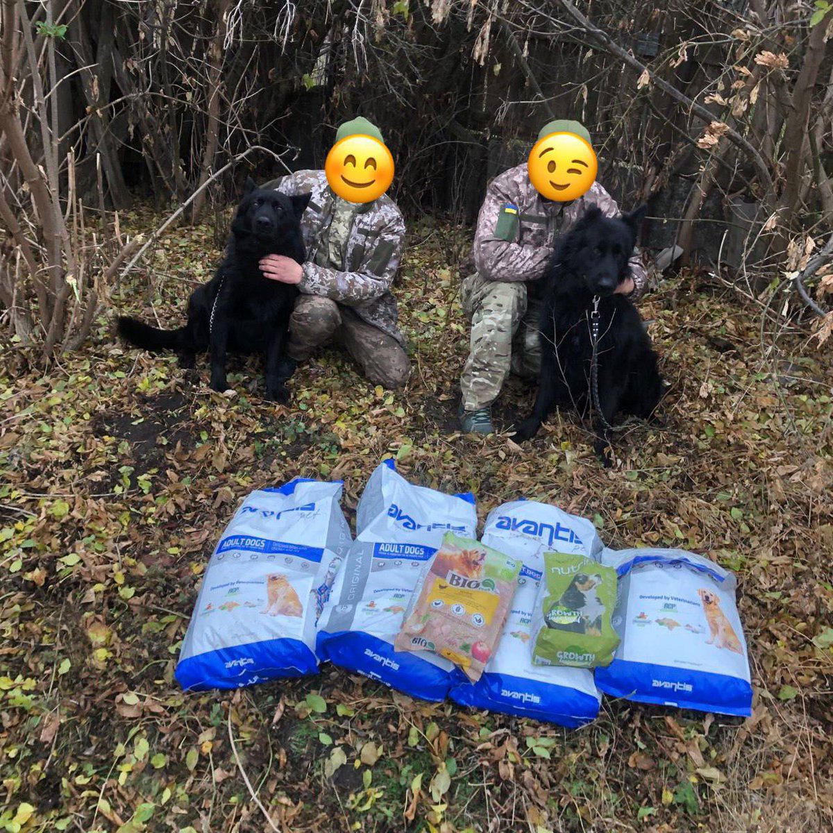 SvoRa199's tweet photo. Job report‼️
We support the military and their furry guardian angels. This is Zaporizhzhia. Please support us, we need help. Don't let the animals feel hunger on the front line🫂🫶🏼

We have to take special care of them🥹🫶🏼

Thanks to our @svora_go the food was delivered on time😙 https://t.co/thJs4MqPBw