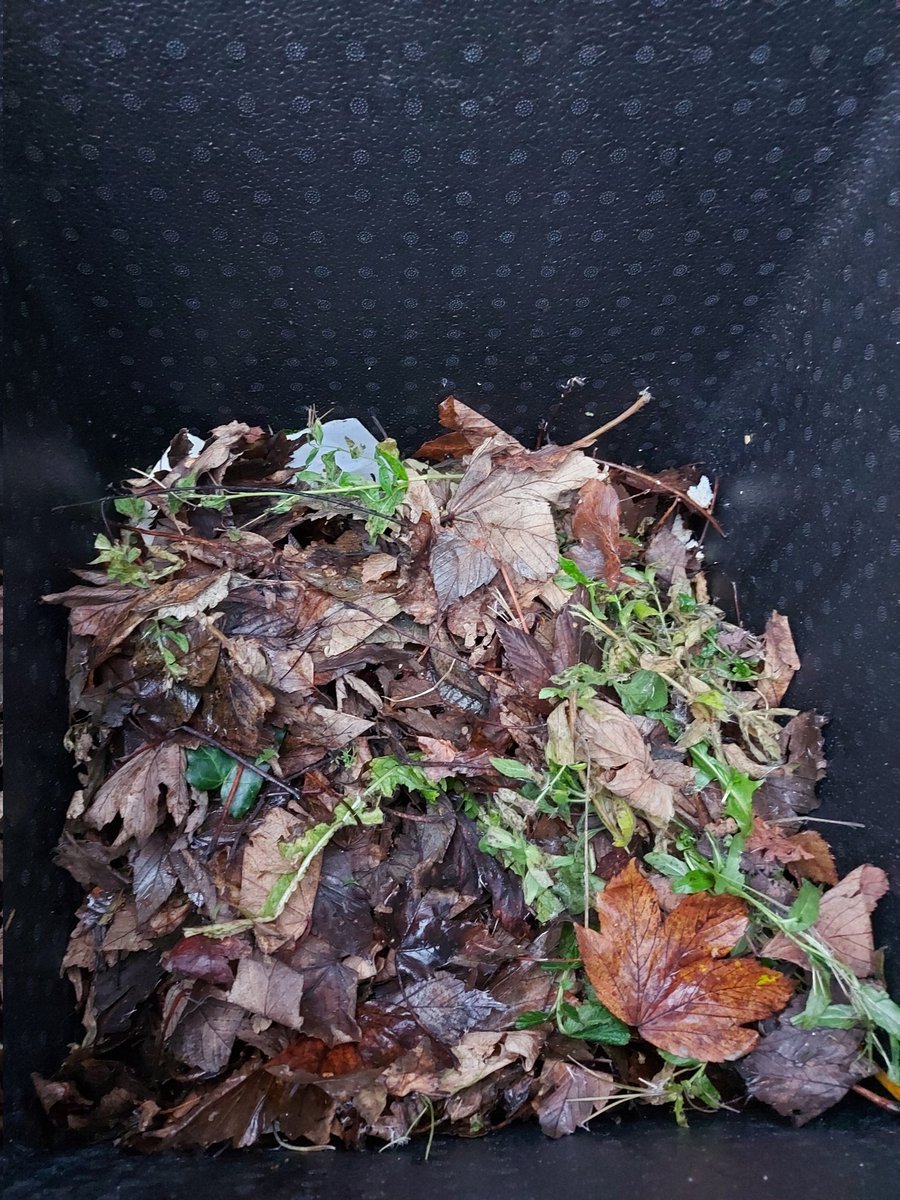 Busy week for the garden group in Rutherglen. <a href="/StonelawHS/">Stonelaw High School</a> <a href="/YFCLPathfinders/">YFCL Pathfinders</a> young people doing a cracking job building our beds and we've started composting, helping to reduce our centre waste and reduce our carbon footprint.
#itsSLC #becauseofCLD #youthworkchangeslives