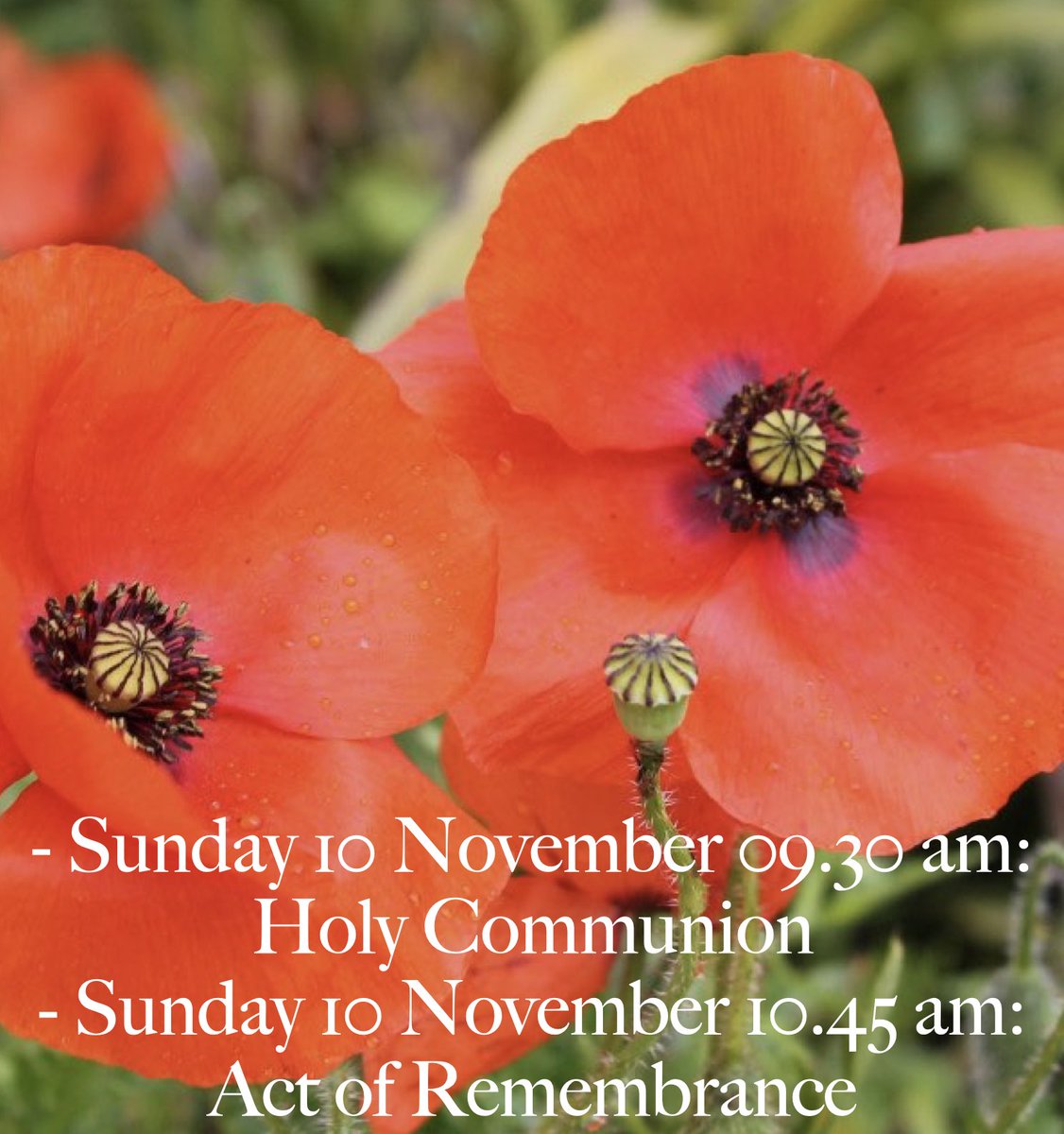On Sunday 10th of November, the Holy Communion will start earlier at 9.30 am and followed by Act of Remembrance at 10.45 around the Memorial Monument in the Church Garden. Do come for a tea in the Church Hall afterward. 
#allsaintsneweltham #newetlham #actofremembrance #greenwich