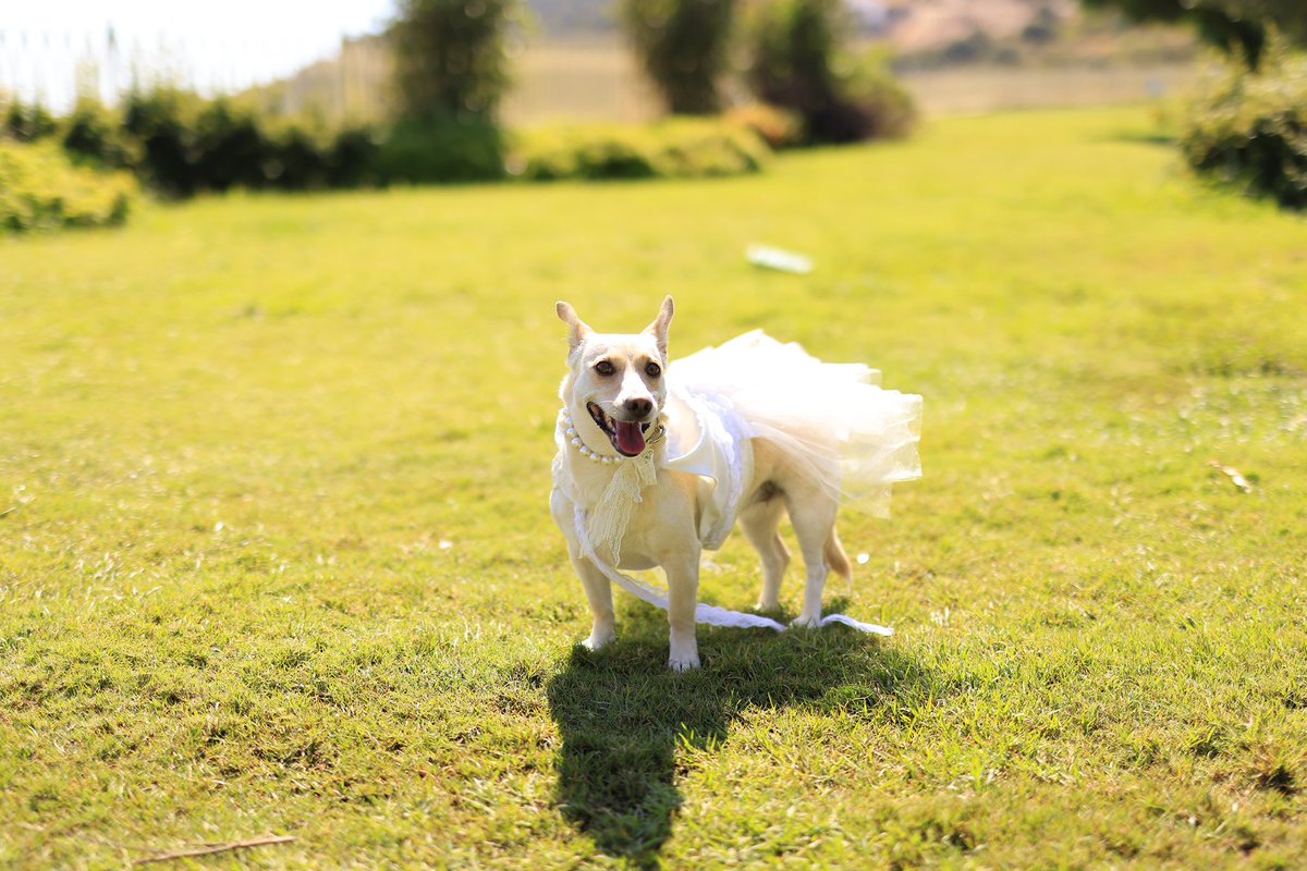 🪼Denizanası 🪼 tweet media