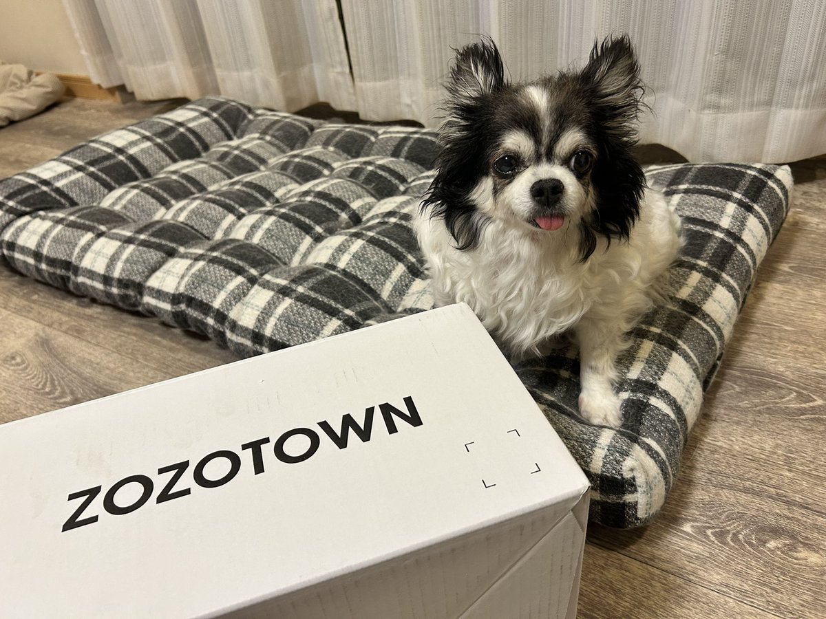 ebayuu's tweet photo. ZOZOでお買い物
いつもの箱ではなく今回は白い箱♫
#ZOZOWEEK箱CP https://t.co/pSCs4SF43T