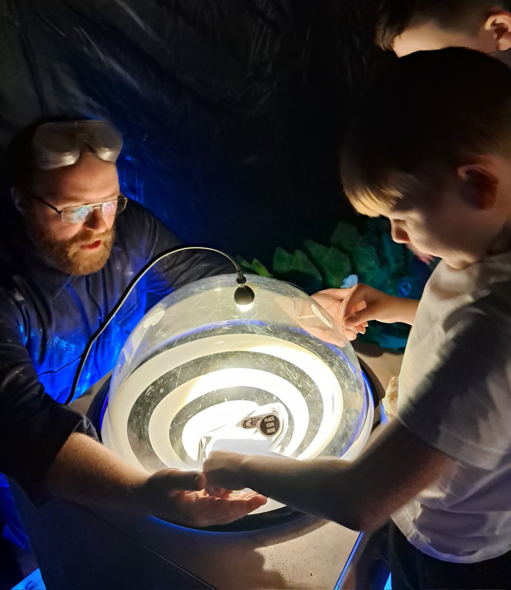 A new version of our Curious Beasts mental health programme was piloted at Northwood Primary, Darlington yesterday to great enthusiasm from children and us!! Fab feedback received! Few tweaks to make &amp; new puppets to create before launch in Jan 2025. <a href="/LingfieldTrust/">Lingfield Education Trust</a>