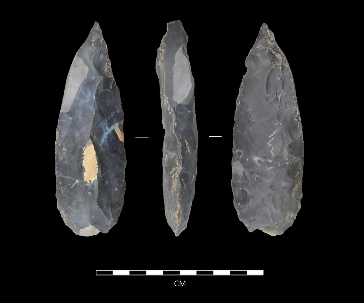 PCAarchaeology's tweet image. A flaw in this #Neolithic axe from Suffolk meant it couldn’t be finished. Fascinatingly, the right-hand image shows 3 points of percussion from being struck hard. Perhaps the knapper took a few frustrated whacks upon realising it was flawed! #prehistory #archaeology #FindsFriday