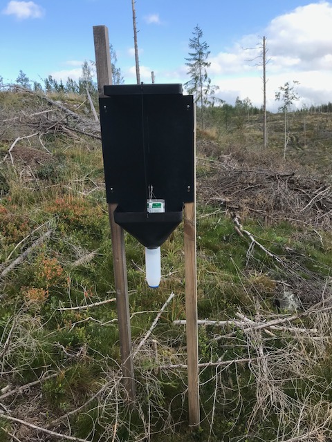 UEF Forest Entomology Network tweet media